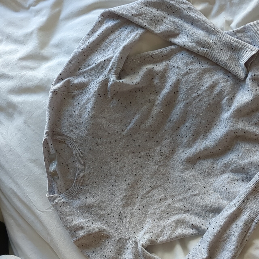 Everlane cashmere crewneck